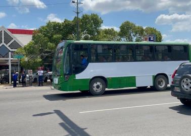 Entran en operación 30 camiones recién desempacados en Ciudad Obregón