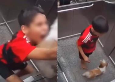 VIDEO | Niño salva a su perro de quedarse atorado en la puerta de un elevador