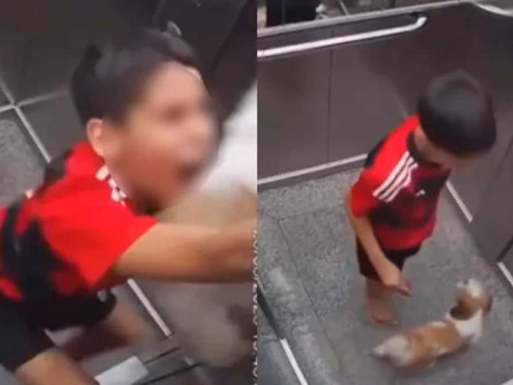 VIDEO | Niño salva a su perro de quedarse atorado en la puerta de un elevador VIDEO | Niño salva a su perro de quedarse atorado en la puerta de un elevador