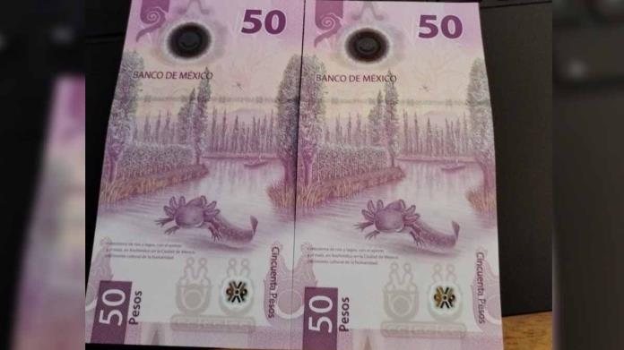 Este billete del ajolote podría costar 7 mdp ¿tienes uno? Este billete del ajolote podría costar 7 mdp ¿tienes uno?