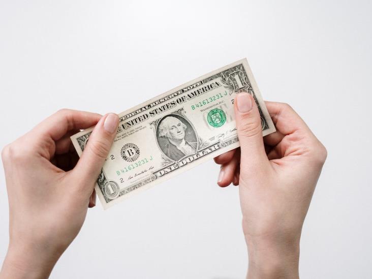 El dólar empieza el mes patrio con una ligera apreciación El dólar empieza el mes patrio con una ligera apreciación