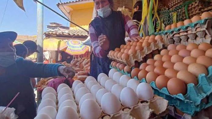 Ven aumento en el precio del huevo, ¿cuánto cuesta el kilo? Ven aumento en el precio del huevo, ¿cuánto cuesta el kilo?