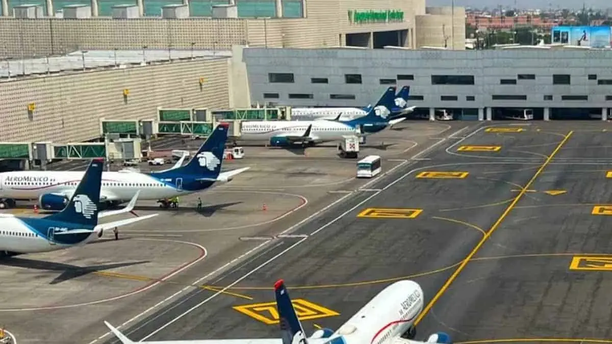 VIDEO | Menor salta barda del AICM y lo bajan de tren de aterrizaje de avión