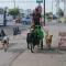 Hombre en condición de calle adopta a dos canes en Ciudad Obregón