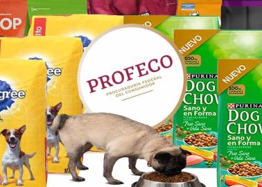 Profeco: Estas son las 5 mejores marcas de croquetas para perro Profeco: Estas son las 5 mejores marcas de croquetas para perro