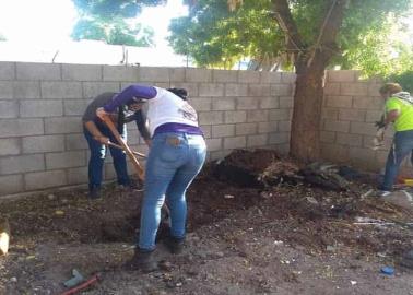 Búsqueda positiva: hallan cadáver en traspatio de casa en Ciudad Obregón