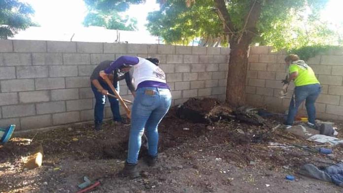 Búsqueda positiva: hallan cadáver en traspatio de casa en Ciudad Obregón Búsqueda positiva: hallan cadáver en traspatio de casa en Ciudad Obregón