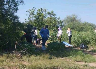 Descubren panteón clandestino en San José de Guaymas