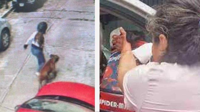 Pitbull ataca a niño de kínder