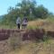 Siguen hallando restos en fosa clandestina San José de Guaymas