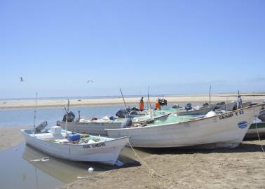 Pescadores de Yavaros irán por el camarón pero muy endeudados