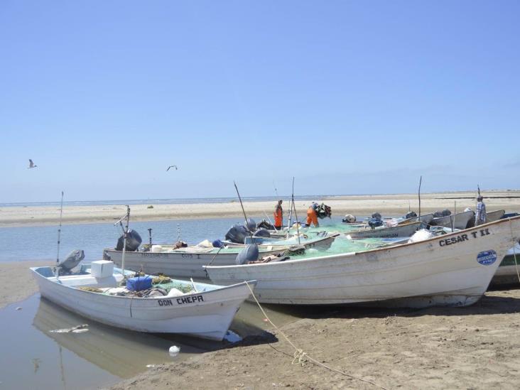Pescadores de Yavaros irán por el camarón pero muy endeudados Pescadores de Yavaros irán por el camarón pero muy endeudados