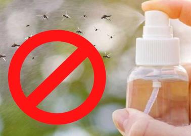 Dile adiós a los mosquitos de tu hogar con este remedio casero