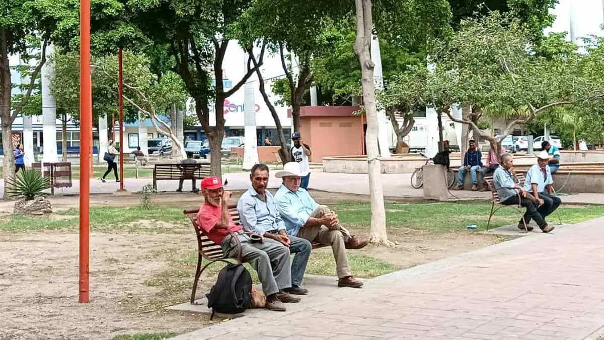 "Tocha", una actividad con la que se obtiene dinero en Ciudad Obregón