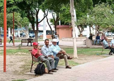 "Tocha", una actividad con la que se obtiene dinero en Ciudad Obregón