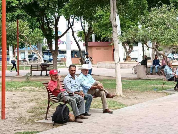 "Tocha", una actividad con la que se obtiene dinero en Ciudad Obregón "Tocha", una actividad con la que se obtiene dinero en Ciudad Obregón