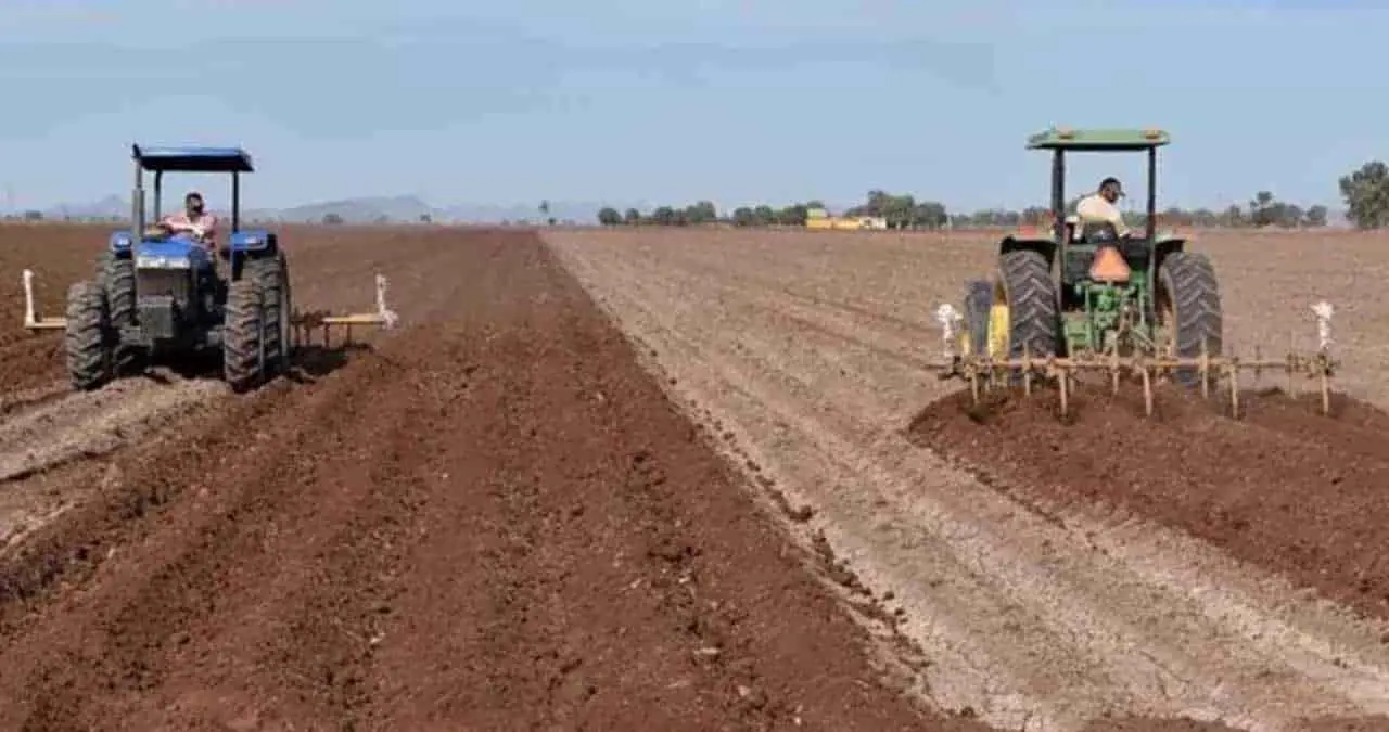 Enfrenta el campo crítico panorama