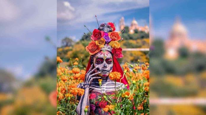 De sales muertos precio