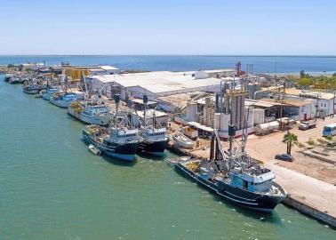 Captura de sardina arranca el 1 de octubre en Sonora