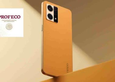 Según Profeco, este es el mejor teléfono celular del mercado Según Profeco, este es el mejor teléfono celular del mercado