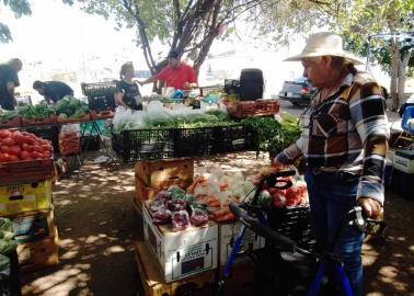 Reducen tiangueros su utilidad para continuar sobreviviendo en Cajeme