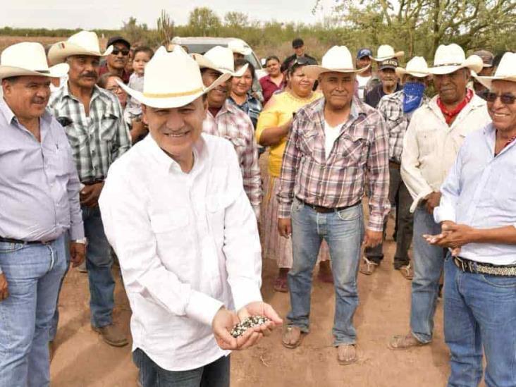 Sonora, líder en exportaciones Sonora, líder en exportaciones