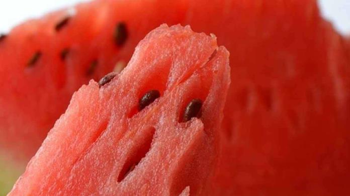 Conoce los beneficios de comer sandia cotidianamente; según expertos de la OMS Conoce los beneficios de comer sandia cotidianamente; según expertos de la OMS