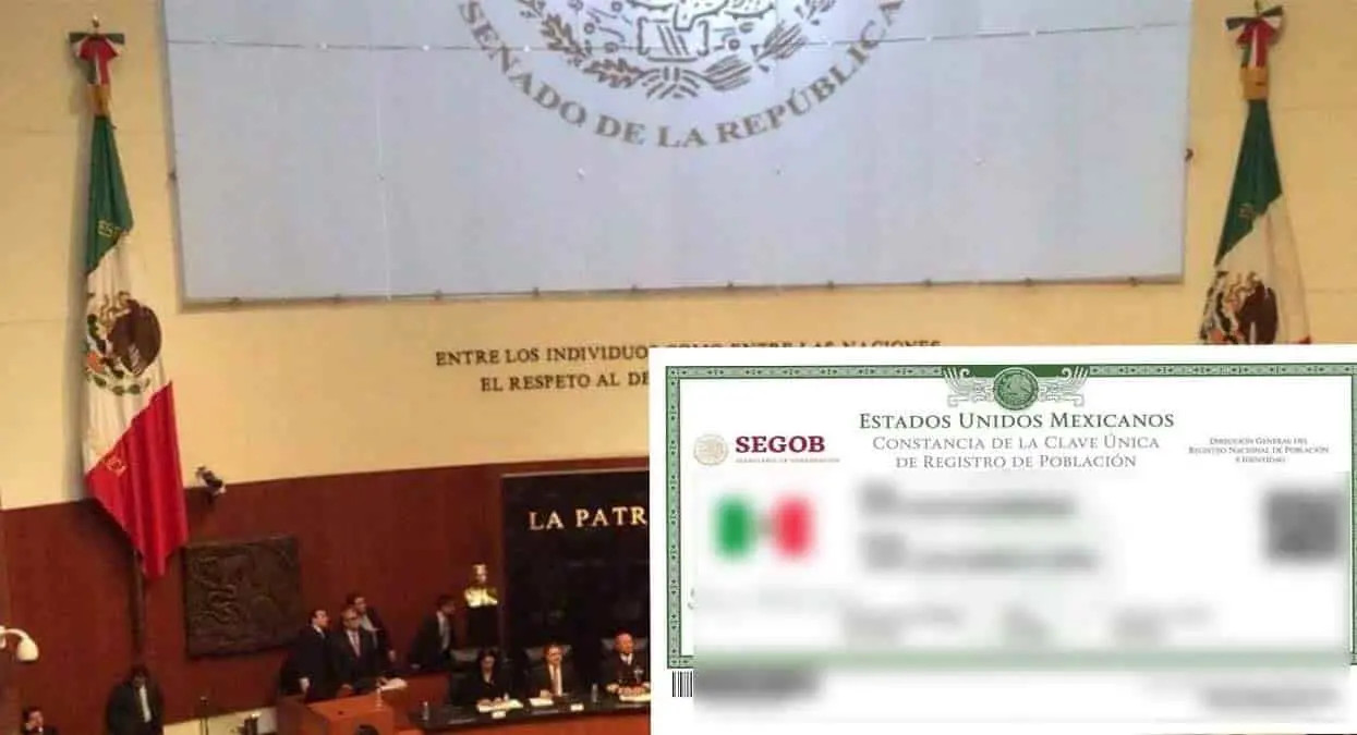 CURP: ¿Por qué el Senado pospuso la innovación a este importante documento?