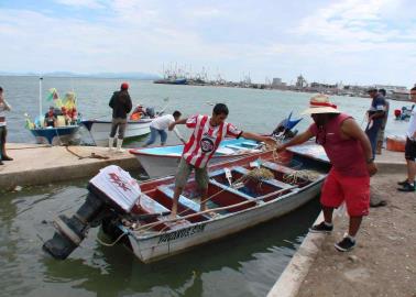 Mejoran las capturas de camarón en Huatabampo