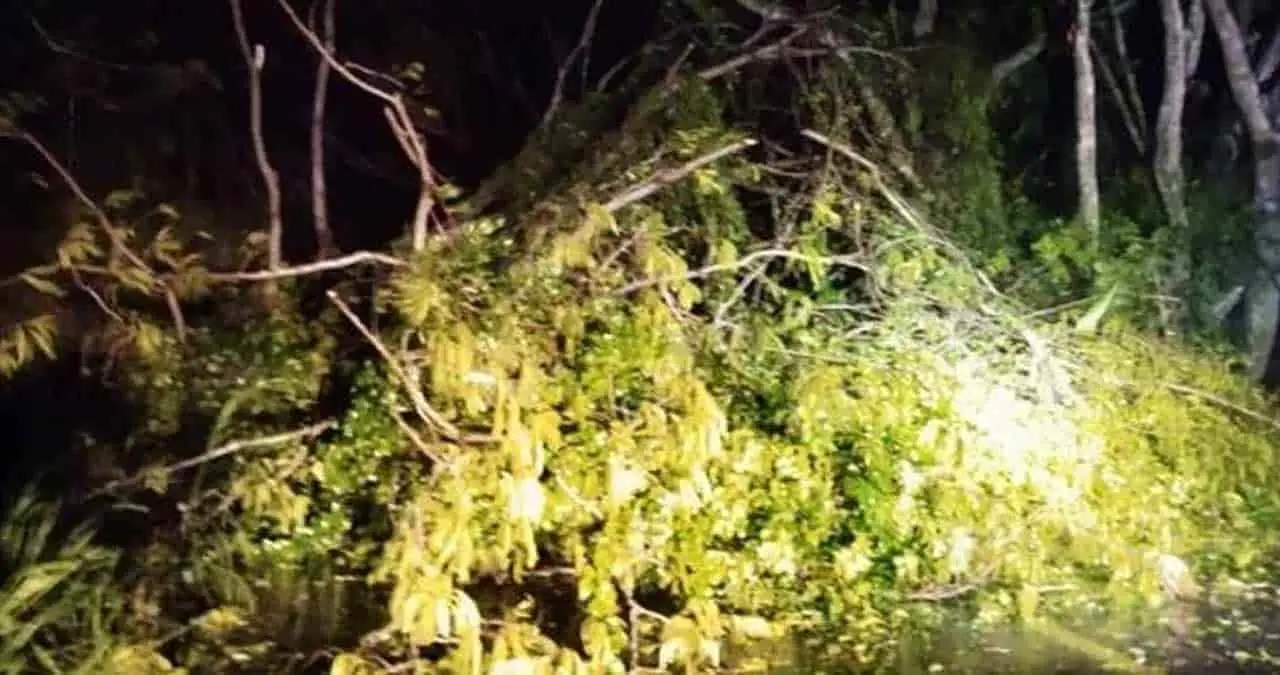 Huracán Lidia cobra primera víctima mortal en Nayarit