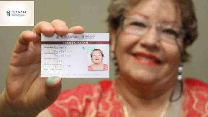 ¿Ya cumpliste 60 años? estos son los requisitos para tramitar la credencial Inapam ¿Ya cumpliste 60 años? estos son los requisitos para tramitar la credencial Inapam