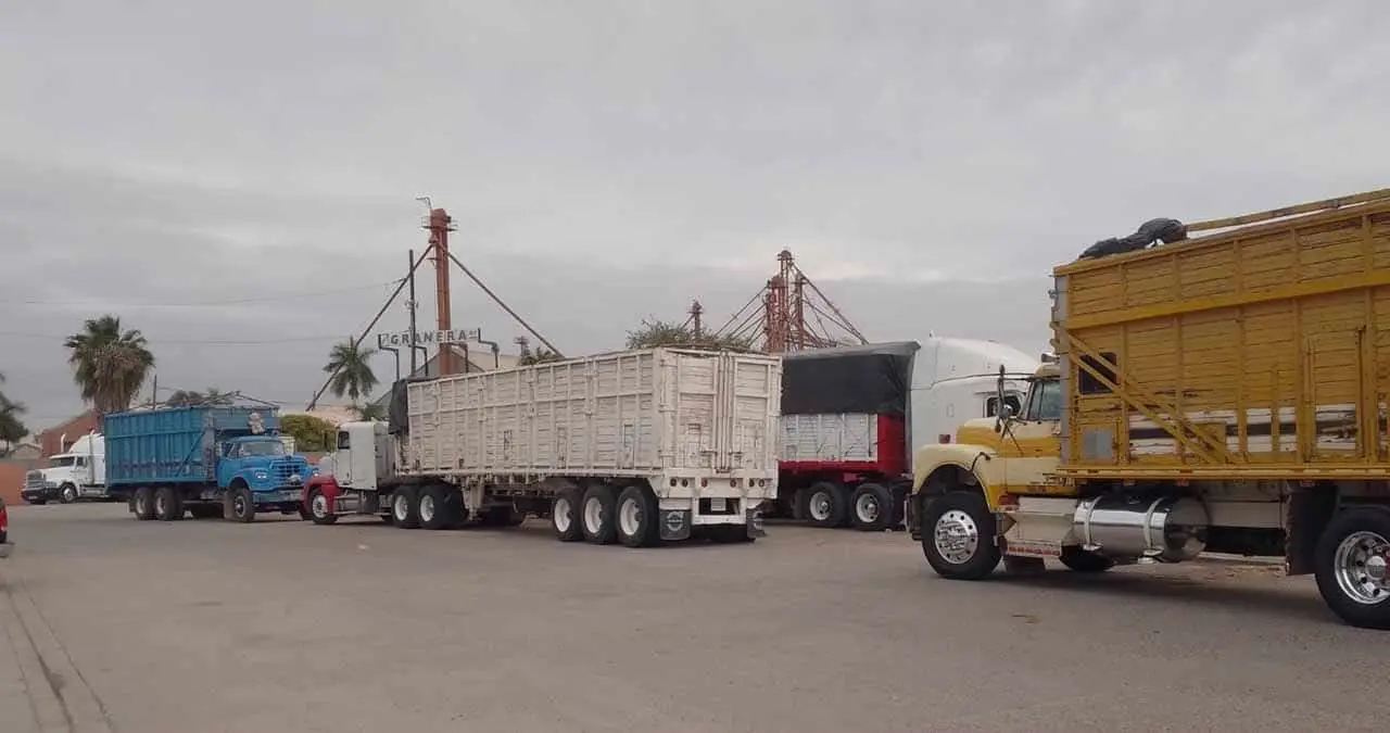 Rechaza Capufe dar "Chip" a transportistas por no cumplir requisito de la serie