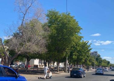 Hermosillo vuelve a romper récord de calor con 43°C para un 16 de octubre