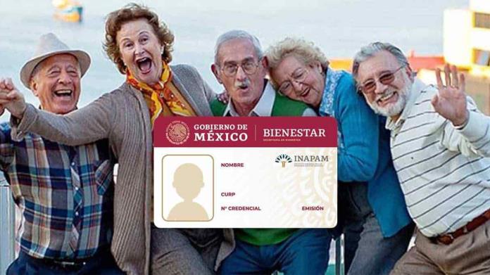 ¿Puedo tramitar mi tarjeta Inapam en línea? esto es lo que sabemos ¿Puedo tramitar mi tarjeta Inapam en línea? esto es lo que sabemos