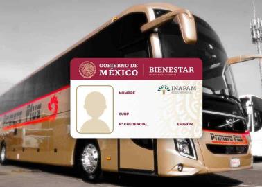 ¿Cuentas con tarjeta Inapam? estos autobuses te ofrecen hasta el 50% de descuento