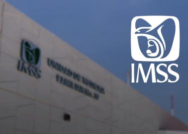 Tarjetón Digital del IMSS: qué es, para qué sirve y cómo descargarlo