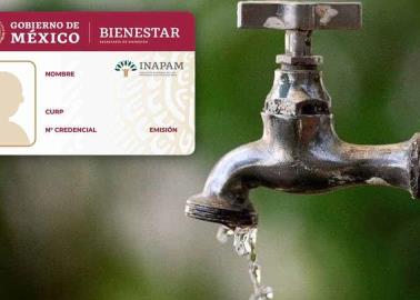 Tarjeta Inapam: estos estados ofrecen descuentos del 50% en pago de predial y agua