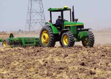 Crisis en el campo afectará economía