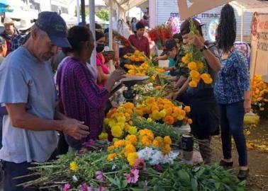 En Navojoa otorgan 75 permisos para el Día de Muertos