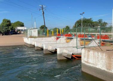 Oomapasc libera presión de agua tras afectaciones por sargazo en plantas potabilizadoras Oomapasc libera presión de agua tras afectaciones por sargazo en plantas potabilizadoras