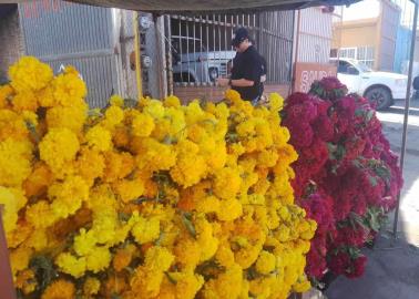 Mercado de las flores, tradición de 37 años en Cajeme 