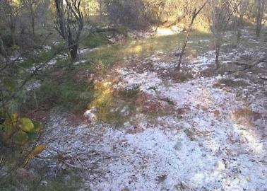 En Álamos piden a CNDH frenar contaminación de mina Corner Bay