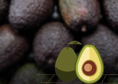 ¿Cuáles son los beneficios de comer aguacate todos los días?