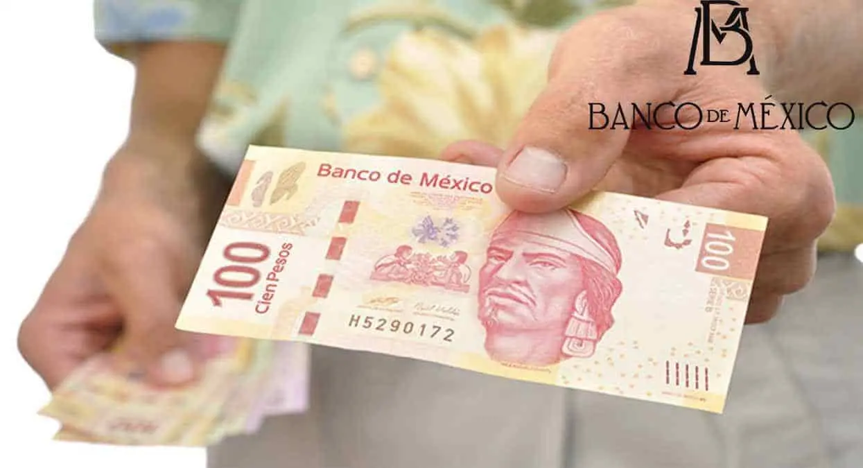 Banxico: este billete de 100 pesos está por salir de circulación, ¿ya no se podrá usar?