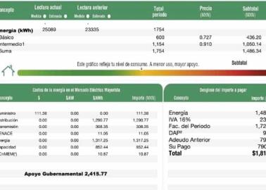 CFE: ¿quiénes no pagarán la luz en noviembre hasta febrero 2024?