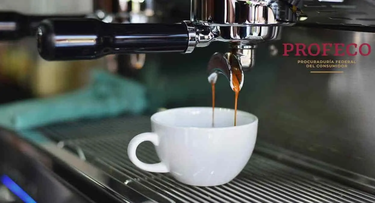 ¿Qué le sucede a tu cuerpo si consumes mucha cafeína? Esto dice Profeco