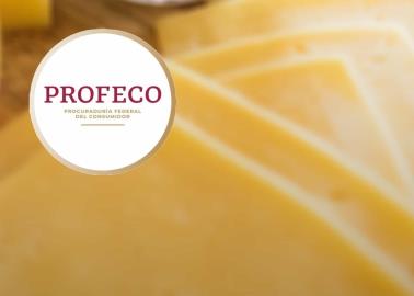 Profeco: Este es el queso amarillo que contiene más proteína y es económico