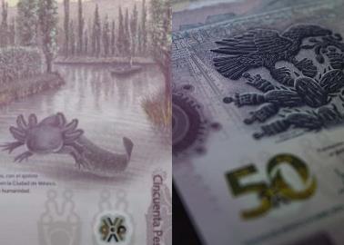 Banxico: este es el ciclo de vida del billete de 50 pesos del ajolote