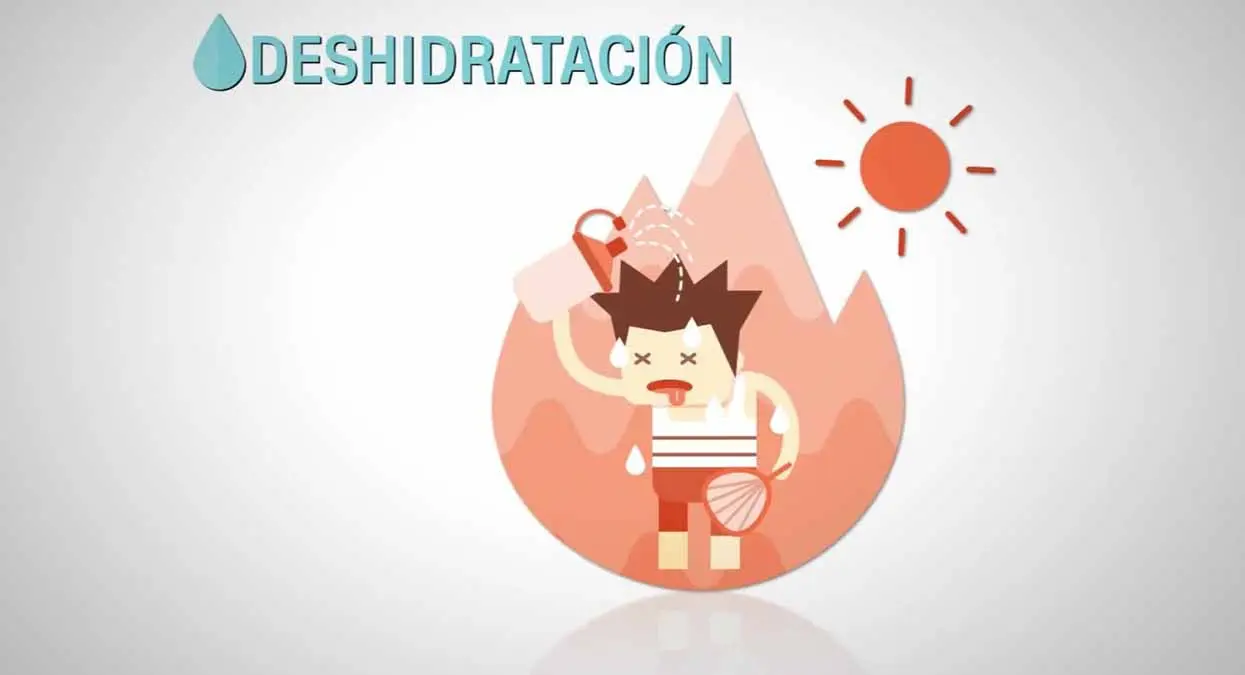 ¿Cómo funciona la hidratación y deshidratación en el deporte?