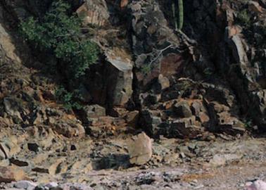 Joven narra terrible susto en la Sierra Tarahumara tras ser víctima de asalto